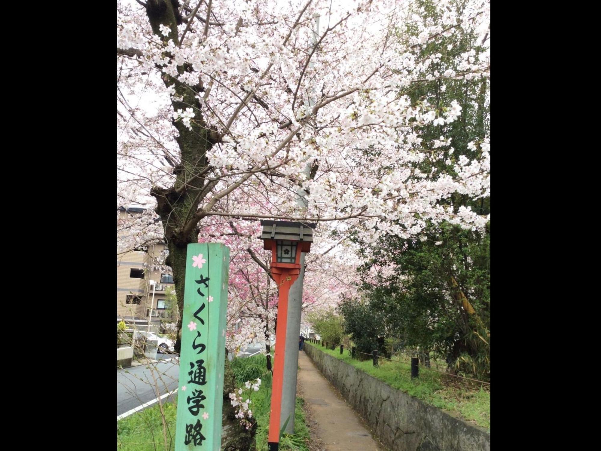 Kyounoyado Hana Nishijin - Kimono No Yado Kyoto Ngoại thất bức ảnh