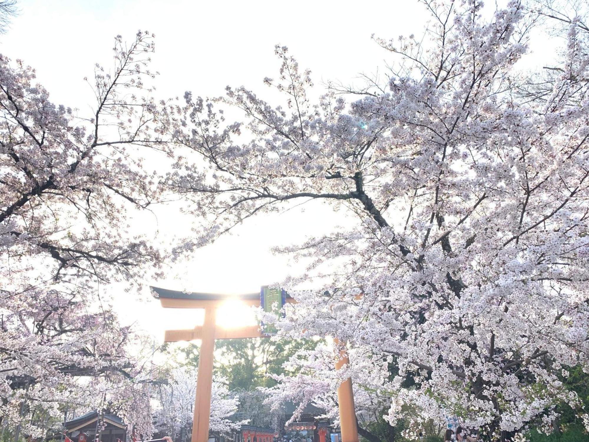 Kyounoyado Hana Nishijin - Kimono No Yado Kyoto Ngoại thất bức ảnh